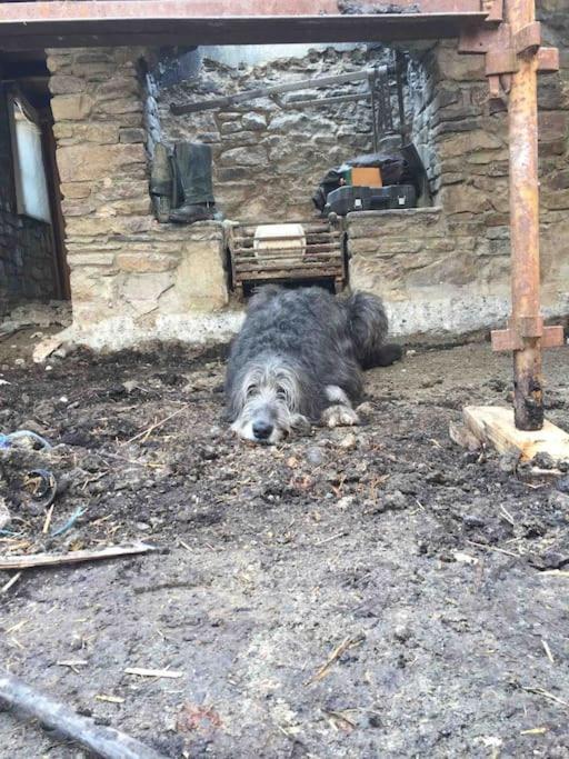 Hopesgate Cottage - Roscrea Esterno foto